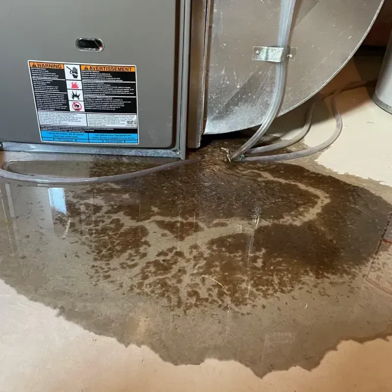 Appliance Leak Cleanup in Milton, VT